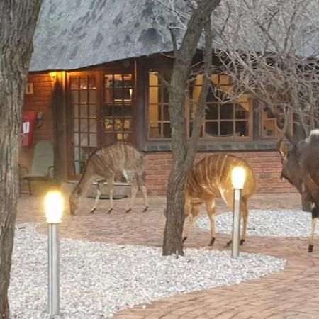 Makhato Bush Lodge 3ベラ・ベラ エクステリア 写真